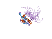 2d8b: Solution structure of the second tandem cofilin-domain of mouse twinfilin