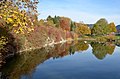 Geotop Steinbruch Schiefersee