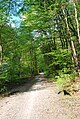 Die Trasse in Kaltenleutgeben wurde ein Wanderweg (hier: am Aufgang zum Teufelstein)