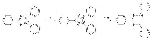 Reduktion des Tetrazolium-Kation über ein Tetrazolium-Radikal zum Formazan