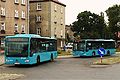 Egy Conecto (bal) és egy Citaro (jobb) Lengyelországban