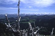 Blick zum Allgäuer Hauptkamm