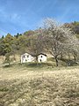 Mount Camiolo di Fondo, barn known as Massa dei Bernàrc