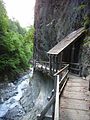 Wanderweg in der Schlucht