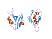 2aww: Synapse associated protein 97 PDZ2 domain variant C378G with C-terminal GluR-A peptide