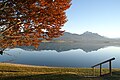 Herbst am Forggensee