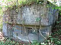 Infanteriebunker Schönenboden 1 A 7203