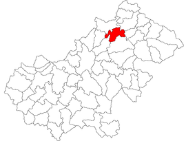 Location in Satu Mare County