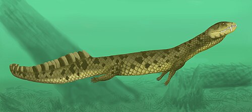 Life restoration of Vancleavea campi.