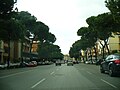 Il viale