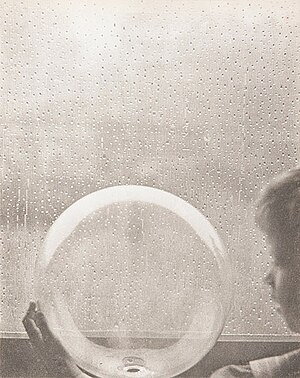 Clarence Hudson White (1871 – 1925): Drops of Rain, 1903