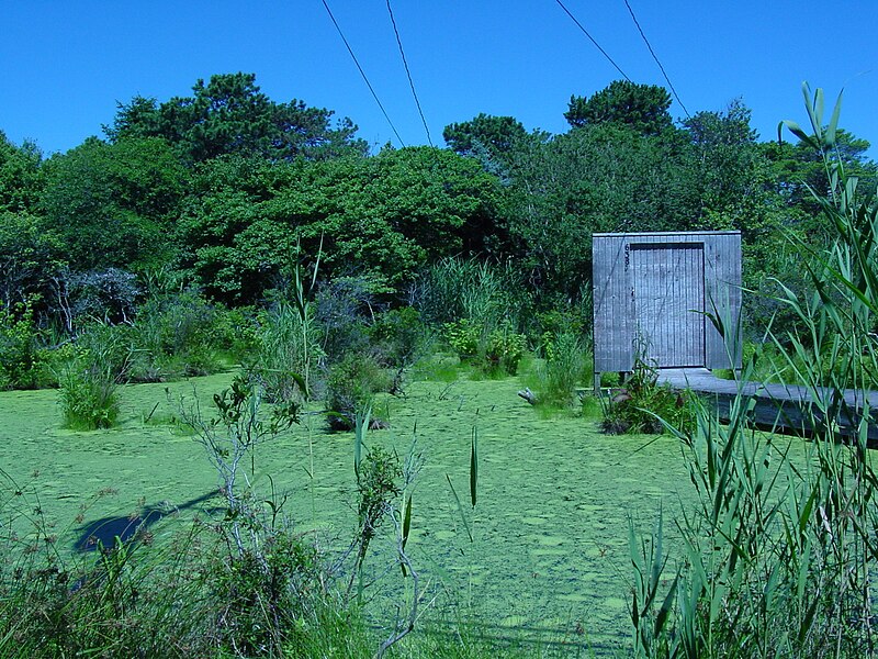 Boardwalk crossing a marsh to enter a private home in the Fire Island Pines.