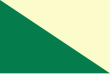 Vlag