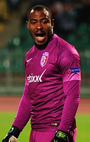 Vincent Enyeama with Lille in 2014