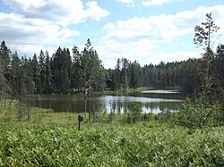 Lake Kuura Kogrõjärv in Rõuge Parish