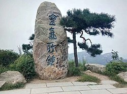 Gathering the spirit and the qi 灵气所钟 靈氣所鍾