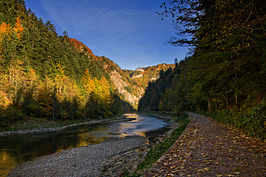 Bosgebied langs de Dunajec, op de grens van Slowakije en Polen.