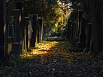 8. Vecchio cimitero ebraico di Vienna (Austria) Autore: HeinzLW