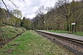 Kleinbahntrasse am Haltepunkt Lößnitzgrund