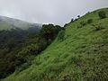 On top of the Kodachadri mountains.