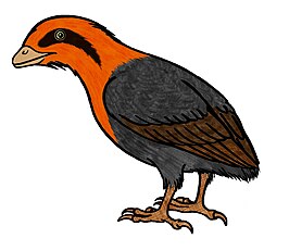 Liaoningornis