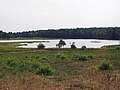 Der Meiersee auf dem Truppenübungsplatz