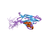 2d3j: NMR structure of the WIF domain from human WIF-1