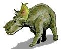 Pachyrhinosaurus