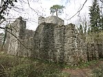 Ruine Weissenau