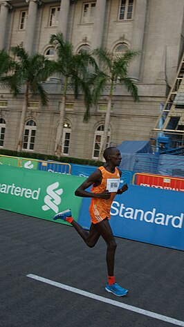 marathon van Singapore 2014