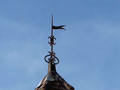 Firstblume auf dem Rathaus