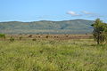 Οι Λόφοι Ταΐτα (Taita Hills) στην Κένυα.