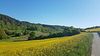 Rückhaltebecken Unterbalbach, talaufwärts zwischen Unter- und Oberbalbach, rechts der Radweg nach Oberbalbach