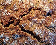 Crust of a loaf of brown bread
