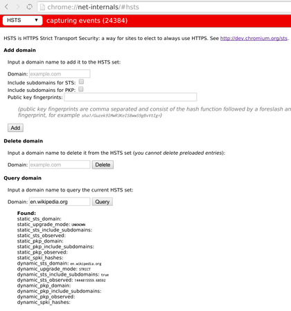 Pagina di impostazioni per HTTPS Strict Transport Security in Chromium 45, che mostra lo stato della politica di sicurezza per il dominio di Wikipedia in inglese.