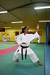 Kata-Training, Karateka 2007
