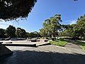 Fernside skate park