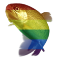 Gay trout