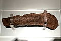 File:Lloyds Bank coprolite 003.jpg