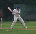 Warwickshire cricketer Mike Powell