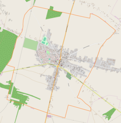 Mapa konturowa Ożarowa, w centrum znajduje się punkt z opisem „Synagoga w Ożarowie”