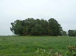 Tumulus van Liek