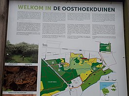 Oosthoekduinen