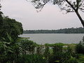 Upper Seletar Reservoir