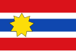 Vlag van Wijns