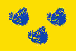 ? Vlag van Wommelgem