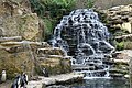 Waterfall with penguins.