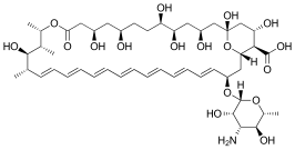 Amfotericine B