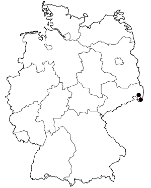 Verlauf der B 178