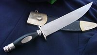 Bowie knife